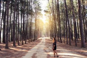 Person geht selbstbewusst einen Waldweg entlang, symbolisch für persönliches Wachstum.